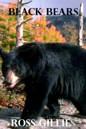 Black Bears