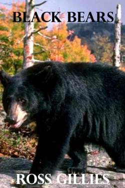 Bertrand.pt - Black Bears