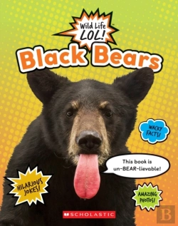 Bertrand.pt - Black Bears (Wild Life Lol!)