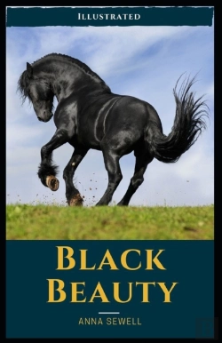 Bertrand.pt - Black Beauty