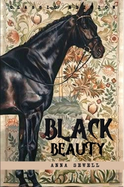 Bertrand.pt - Black Beauty