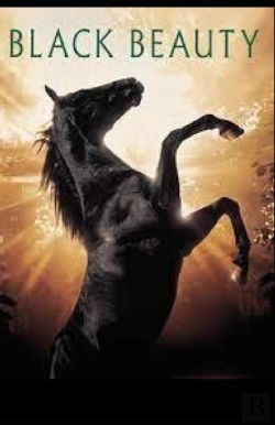 Bertrand.pt - Black Beauty Illustrated