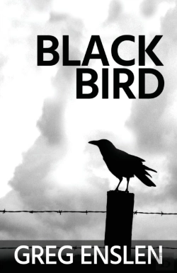 Bertrand.pt - Black Bird