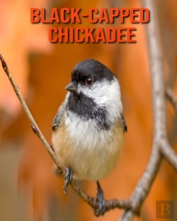 Bertrand.pt - Black-Capped Chickadee