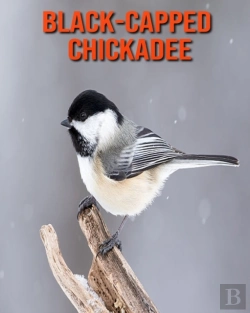 Bertrand.pt - Black-Capped Chickadee