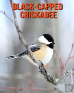 Bertrand.pt - Black-Capped Chickadee