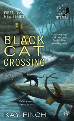 Bertrand.pt - Black Cat Crossing