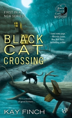 Bertrand.pt - Black Cat Crossing