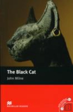 Bertrand.pt - Black Cat