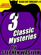 Black Cat Thrillogy #4: 3 Mysteries By Stephen Wasylyk