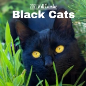Black Cats 2021 Wall Calendar