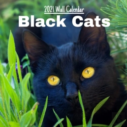 Bertrand.pt - Black Cats 2021 Wall Calendar