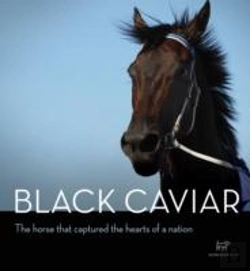 Bertrand.pt - Black Caviar