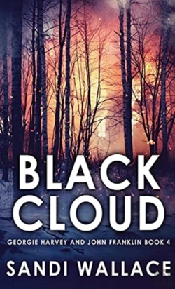 Bertrand.pt - Black Cloud