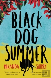 Black Dog Summer