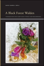 Black Forest Walden