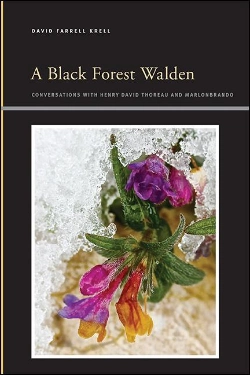 Bertrand.pt - Black Forest Walden