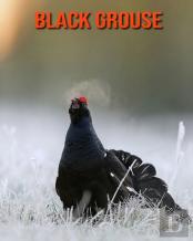 Black Grouse