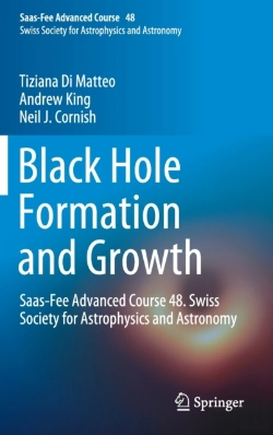Bertrand.pt - Black Hole Formation And Growth