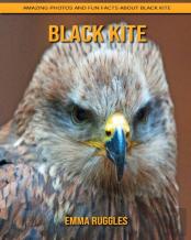 Black Kite