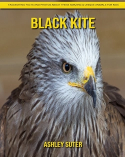 Bertrand.pt - Black Kite