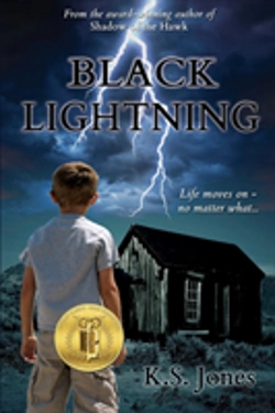 Bertrand.pt - Black Lightning