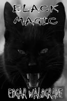 Black Magic - The Witch Chronicles - Rise Of The Dark Witch High King - Book Two