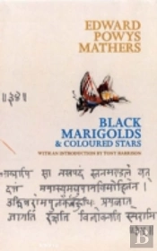 Black Marigolds And Coloured Stars