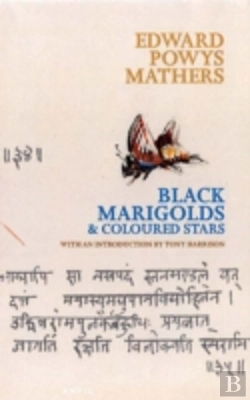 Bertrand.pt - Black Marigolds And Coloured Stars