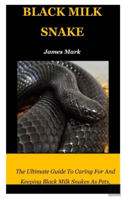 Bertrand.pt - Black Milk Snake