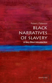 Black Narratives Of Slavery