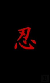 Black Ninja Handbook