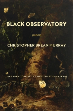 Bertrand.pt - Black Observatory