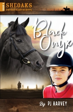 Bertrand.pt - Black Onyx