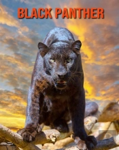 Black Panther