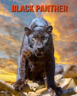 Bertrand.pt - Black Panther
