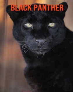 Bertrand.pt - Black Panther
