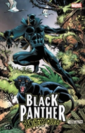 Black Panther: Panther'S Quest