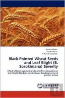 Black Pointed Wheat Seeds And Leaf Blight (B. Sorokiniana) Severity