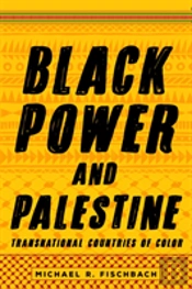 Black Power And Palestine