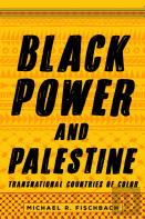 Black Power And Palestine