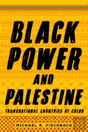 Black Power And Palestine