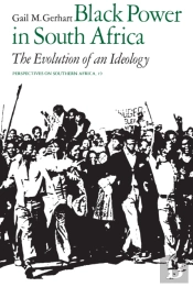 Black Power In South Africa