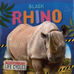 Bertrand.pt - Black Rhino