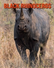 Black Rhinoceros