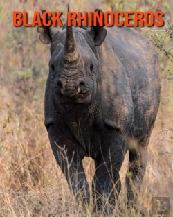 Bertrand.pt - Black Rhinoceros