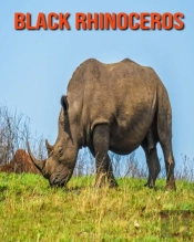 Black Rhinoceros