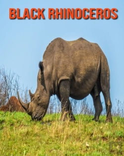Bertrand.pt - Black Rhinoceros