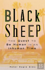 Black Sheep