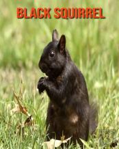 Black Squirrel